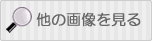 他の画像を見る